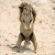 GeraPooxorm