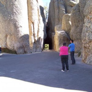 needles highway