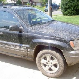 Day 2 of having my jeep, I went mudding.