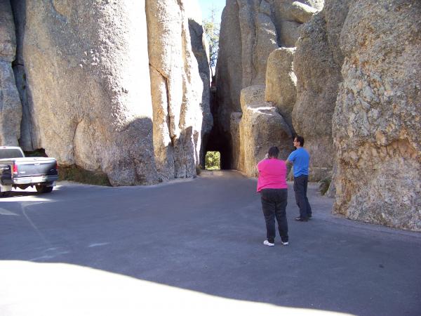 needles highway