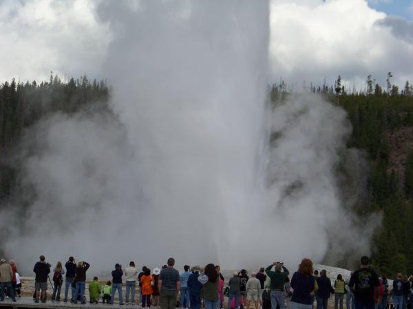 Old Faithful